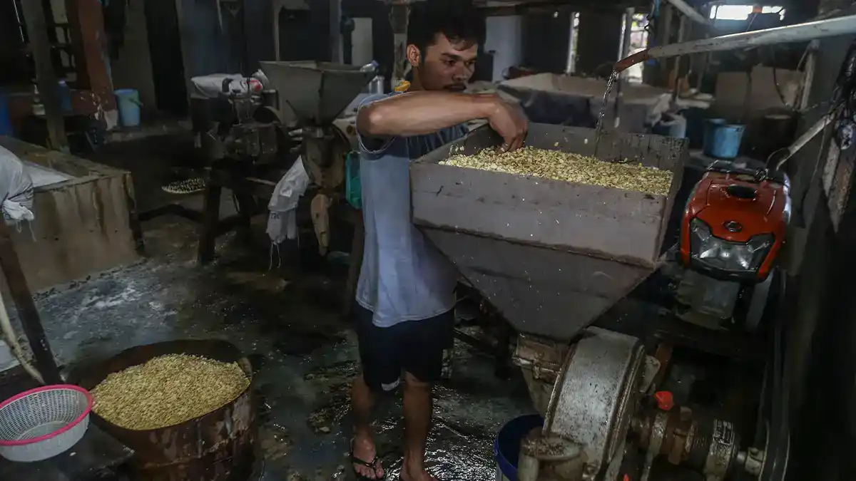 Hibah UMK Bebas Pajak Tanpa Hubungan dengan Donor