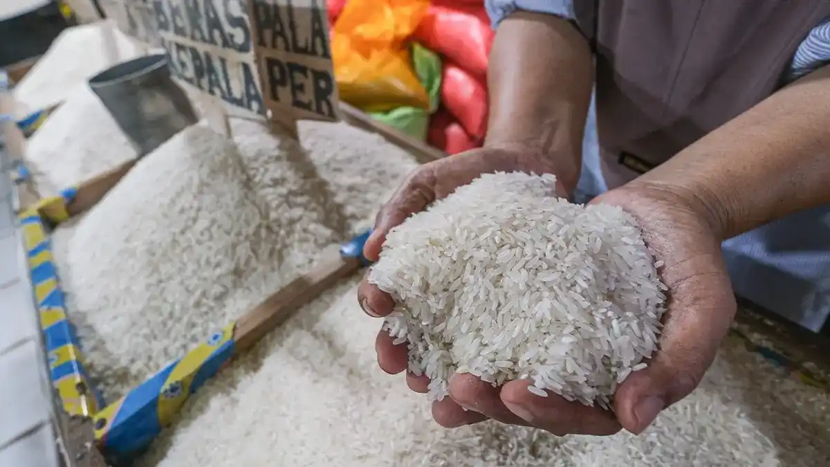 Illustration of rice sacks representing taxable rice traders