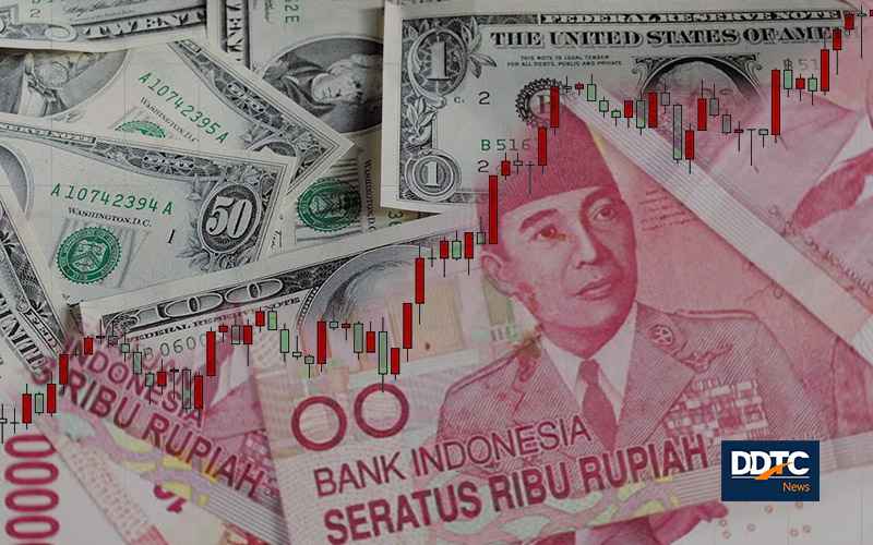 Rupiah strengthens against US dollar and major currencies