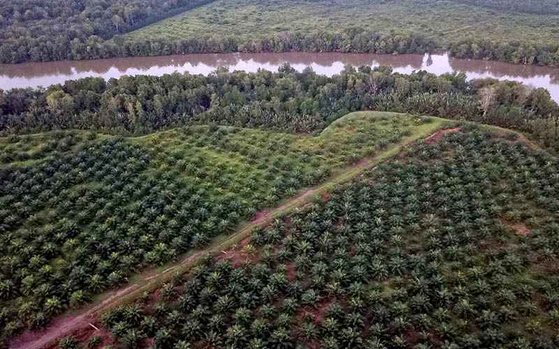 Tax notice document with Indonesian tax authority logo